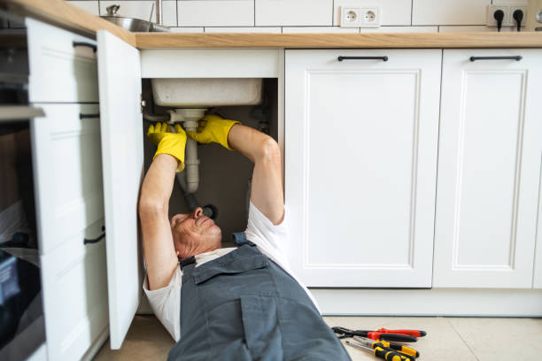 Best Garbage Disposal Repair and Installation  in Gueydan, LA